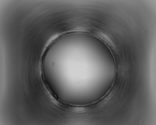 X0000088151180200705211150