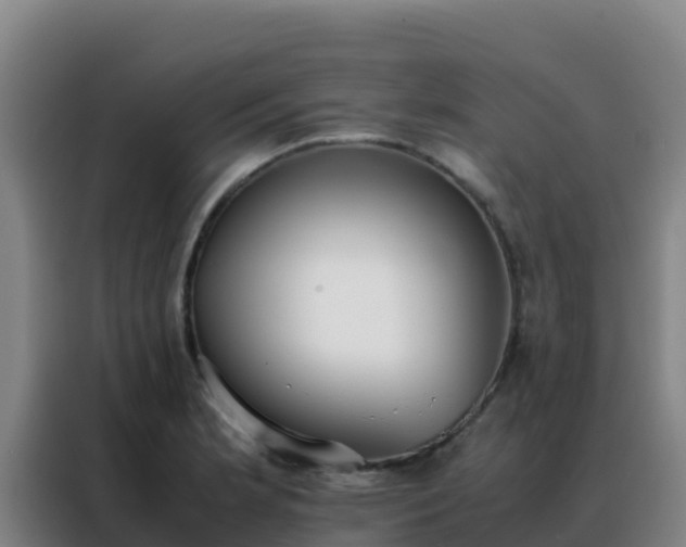 X0000088151181200705211150