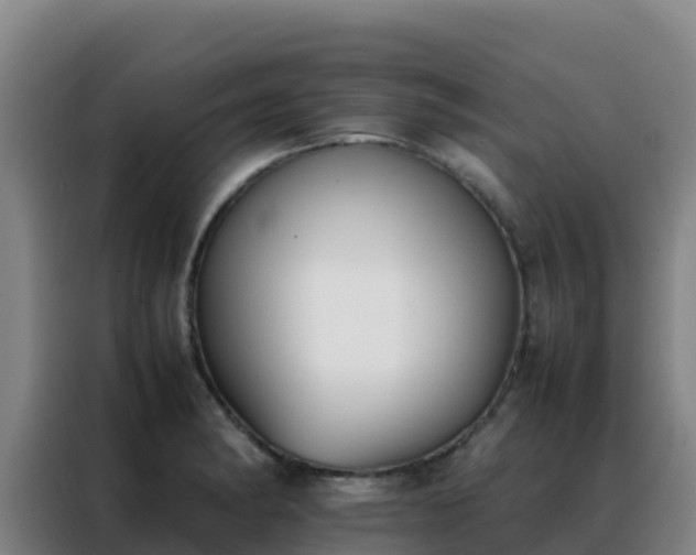 X0000088151182200705211150