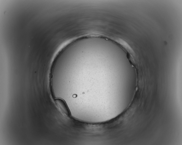 X0000088151183200705211150