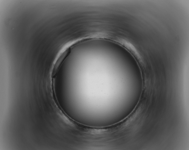 X0000088151184200705211150