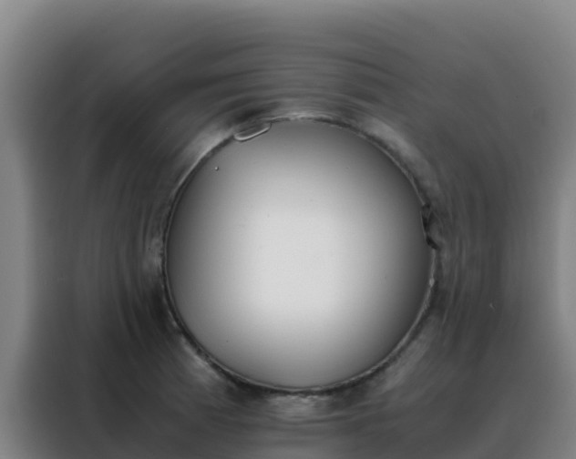 X0000088151185200705211150