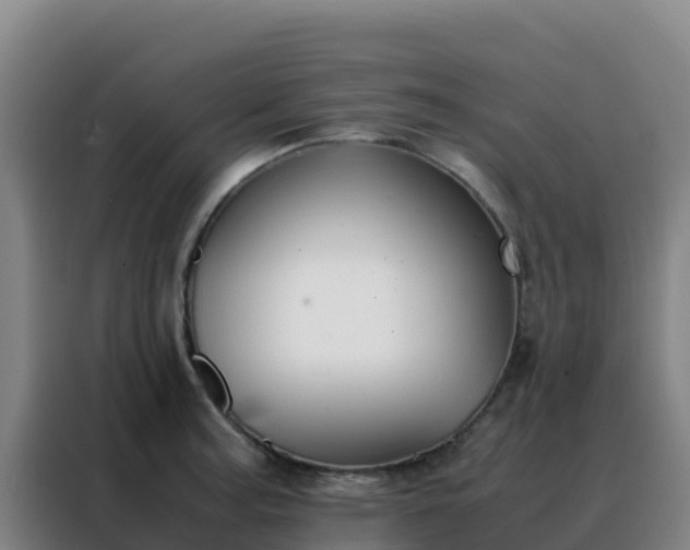 X0000088151187200705211150