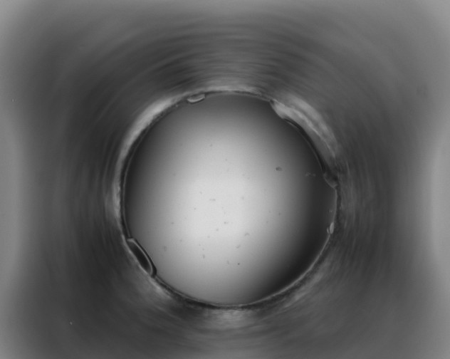 X0000088151188200705211149