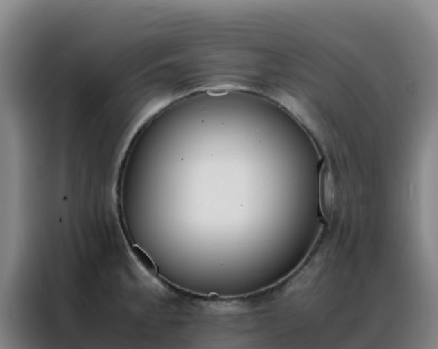 X0000088151189200705211149