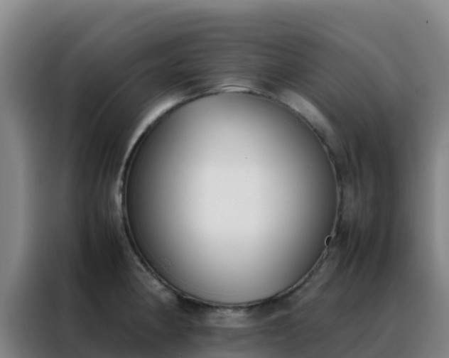 X0000088151190200705211149