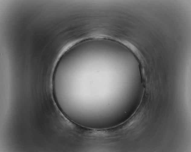 X0000088151191200705211149