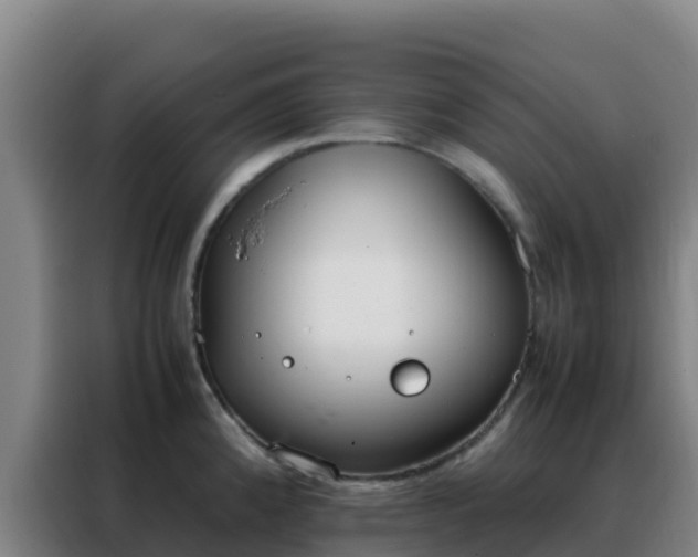 X0000088151192200705211149