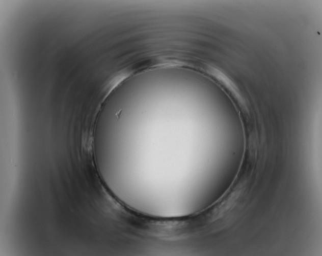 X0000088151193200705211149