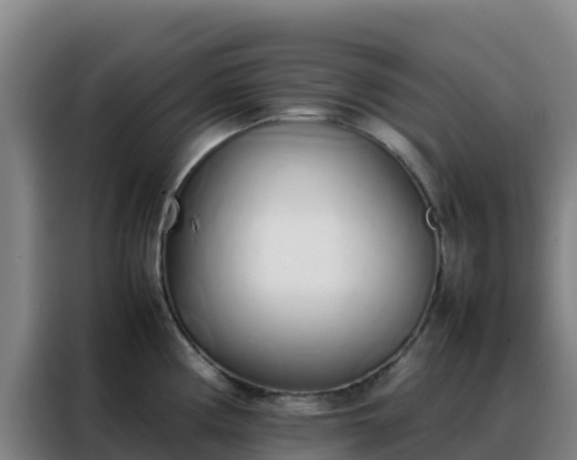 X0000088151194200705211149