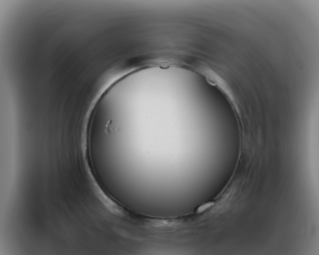 X0000088151195200705211149