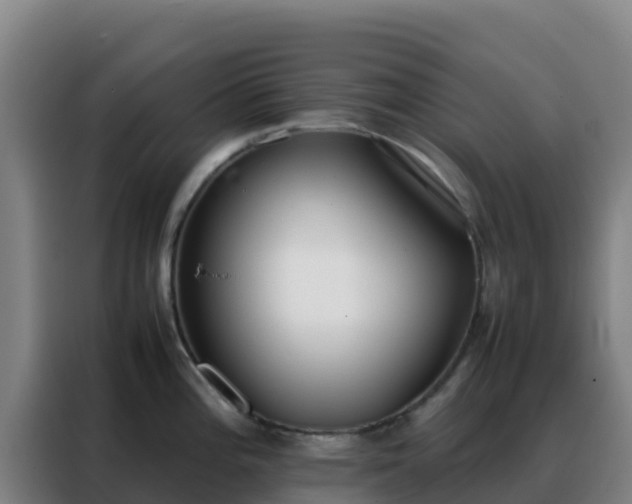 X0000088151196200705211149