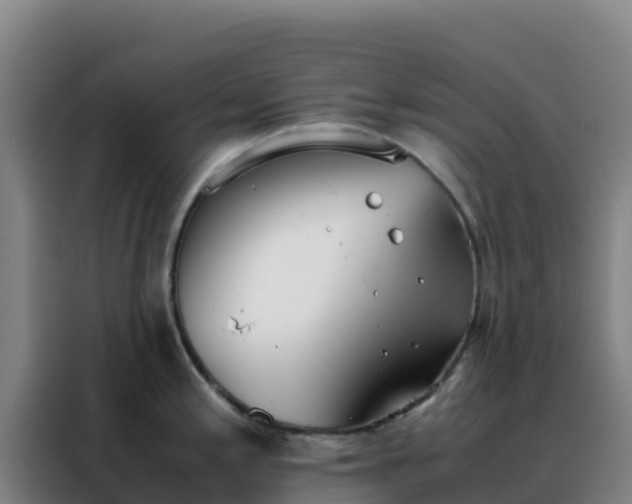 X0000088151197200705211149