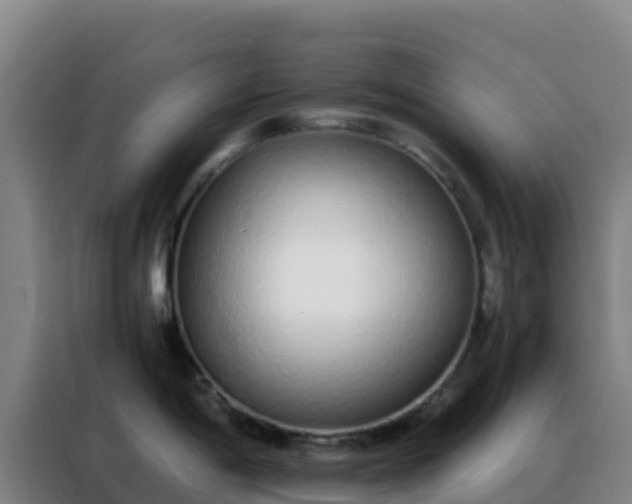 X0000088151198200705211149