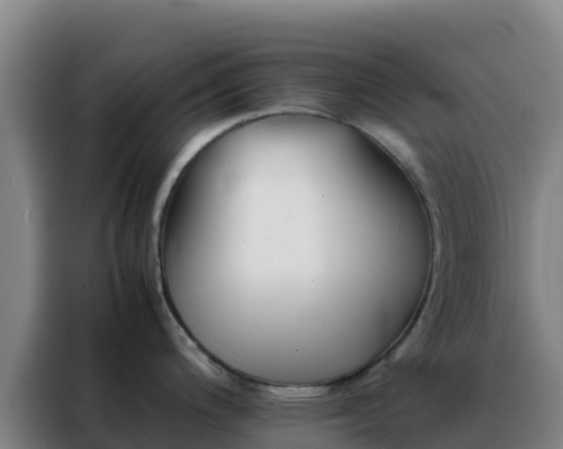 X0000088151200200705211149