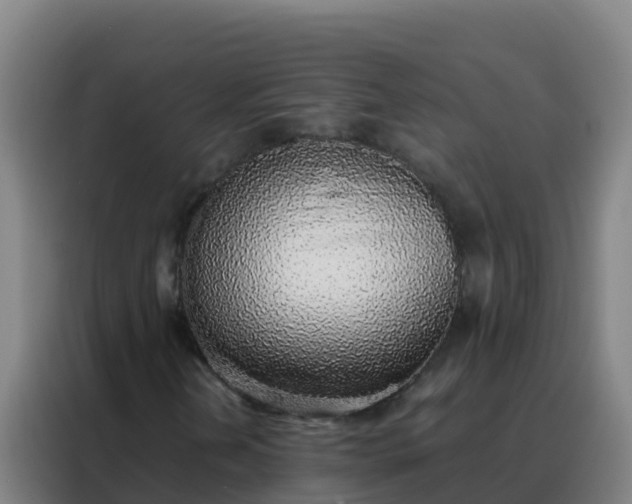 X0000088151202200705211149