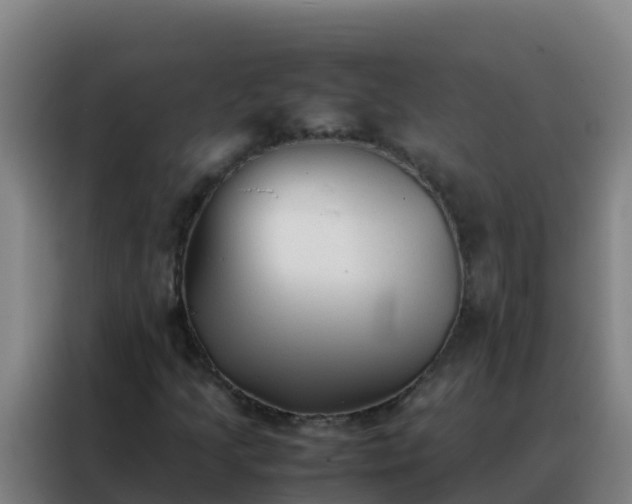 X0000088151205200705211149