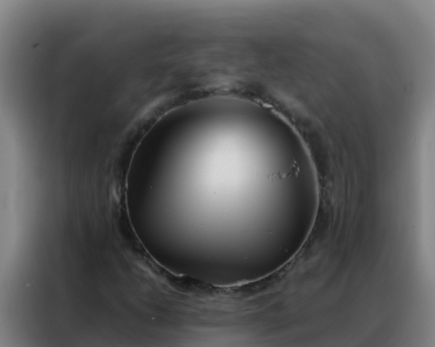 X0000088151206200705211149