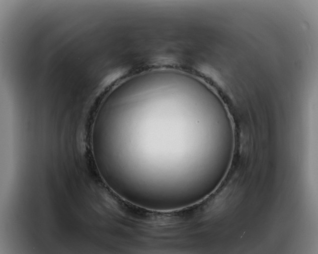 X0000088151213200705211149