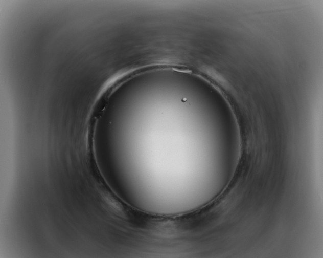 X0000088151222200705211149