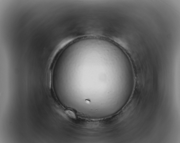 X0000088151223200705211149