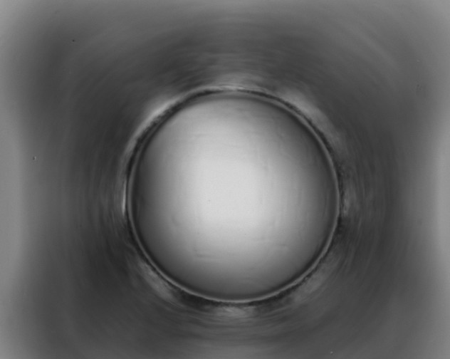 X0000088151224200705211149