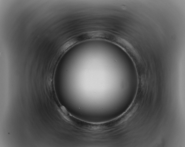 X0000088151225200705211149