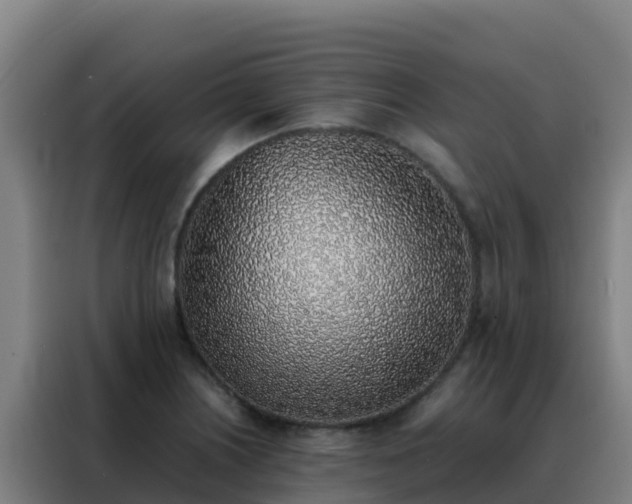 X0000088151226200705211149