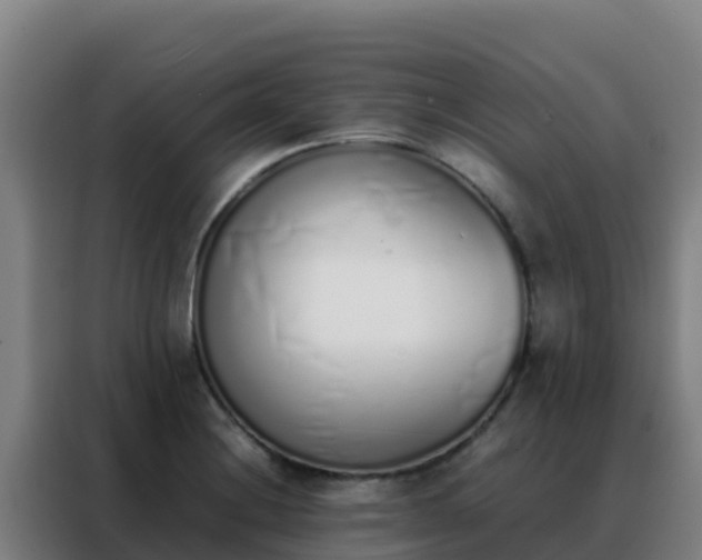 X0000088151228200705211149