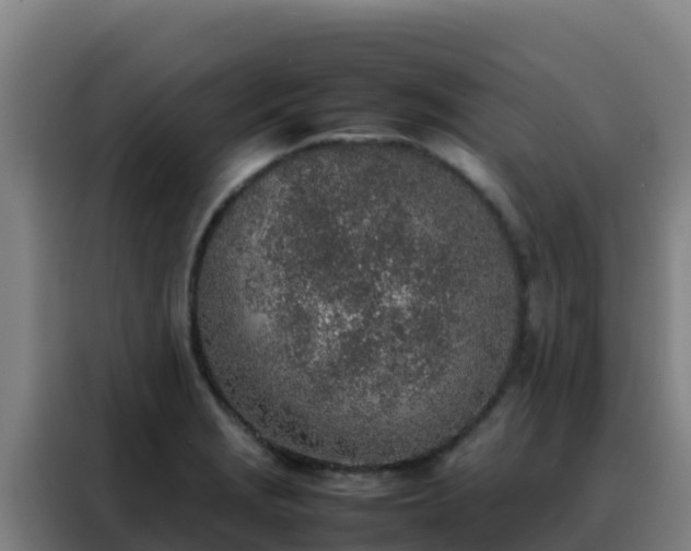 X0000088151229200705211149