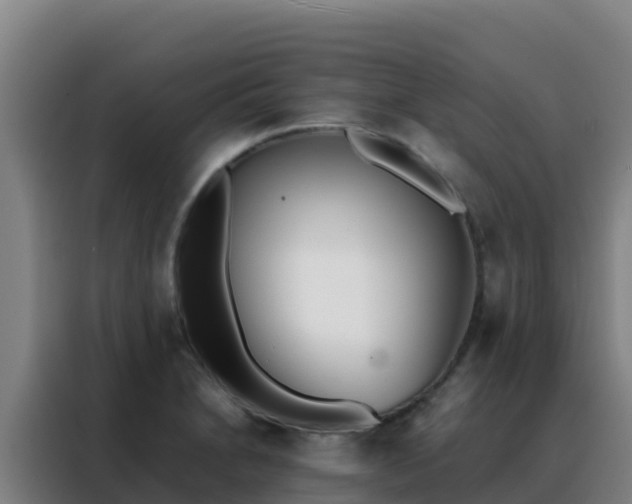 X0000088151230200705211149