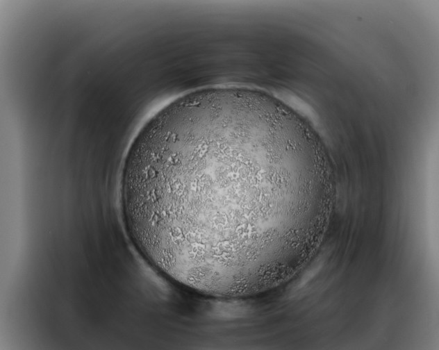 X0000088151231200705211149