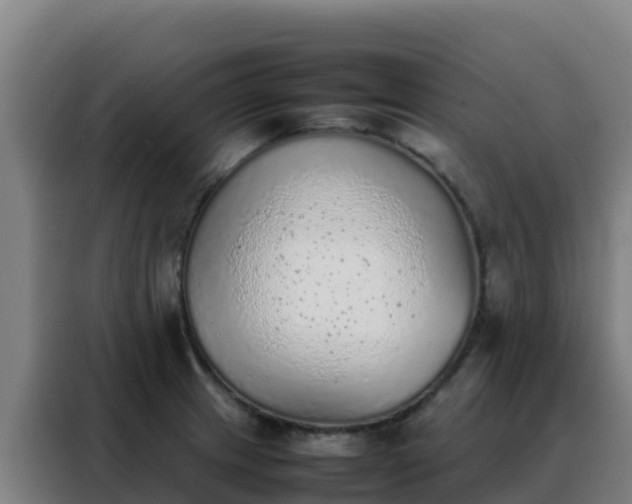 X0000088151233200705211149