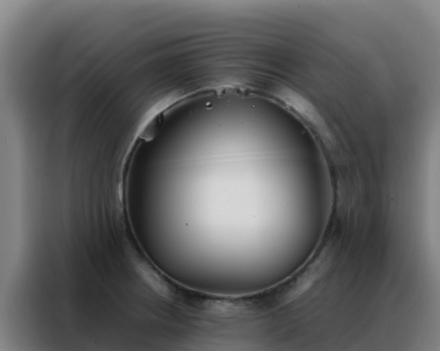 X0000088151234200705211149