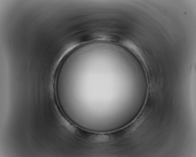 X0000088151235200705211149