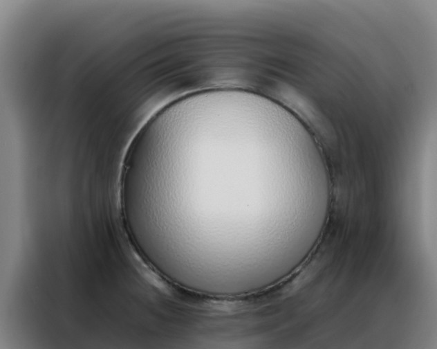 X0000088151236200705211149