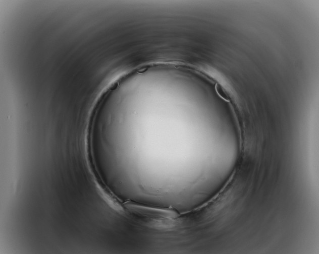 X0000088151237200705211149