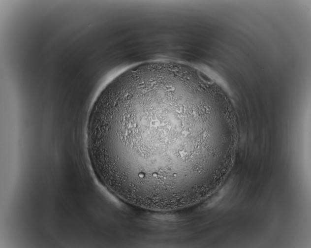 X0000088151239200705211149