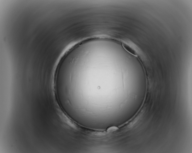 X0000088151240200705211149