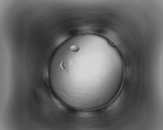 X0000088151241200705211149