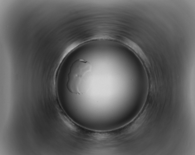 X0000088151242200705211149