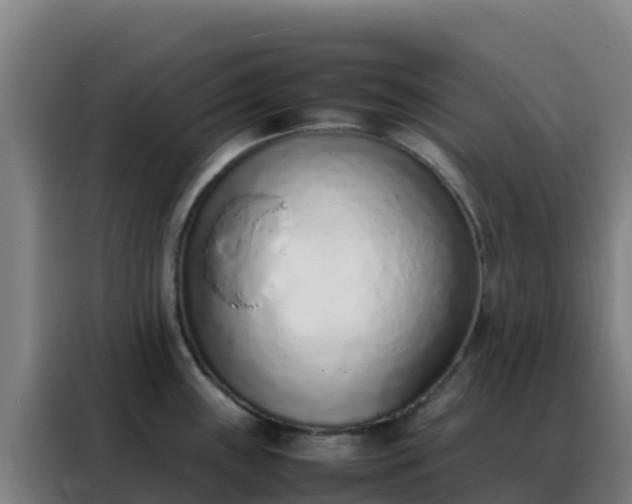 X0000088151243200705211149