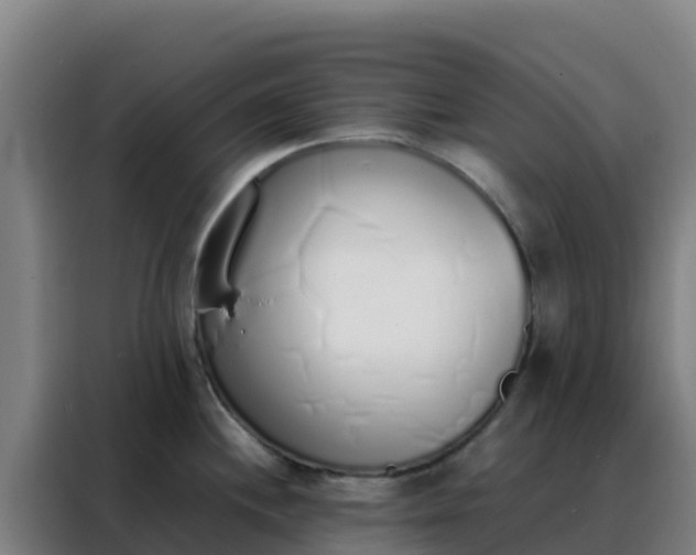 X0000088151244200705211149