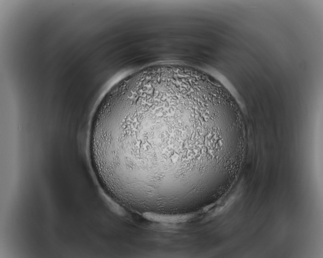 X0000088151245200705211149