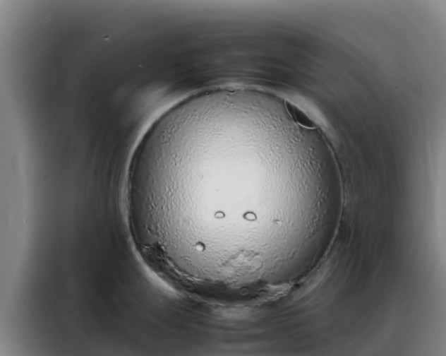 X0000088151247200705211149