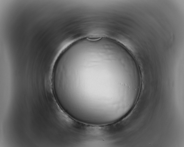 X0000088151248200705211149