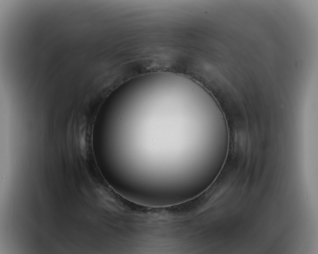 X0000088151250200705211149