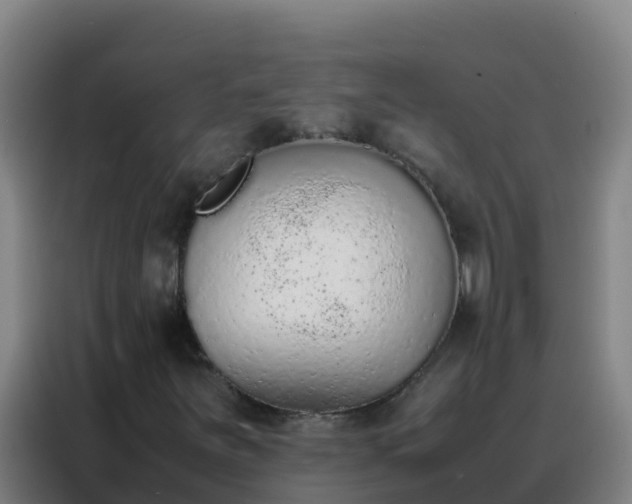 X0000088151251200705211149