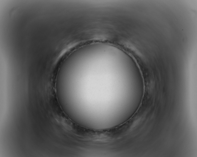 X0000088151256200705211149