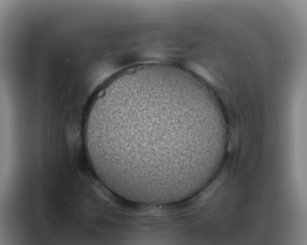 X0000088151259200705211149